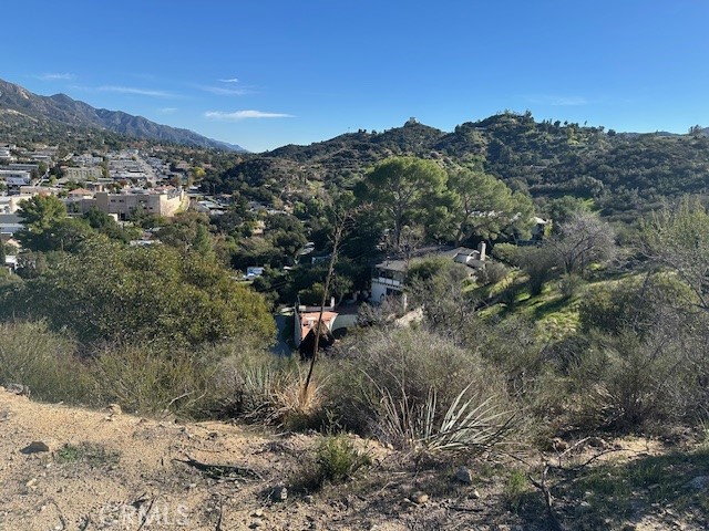 9856 Estaban Property Photo 11