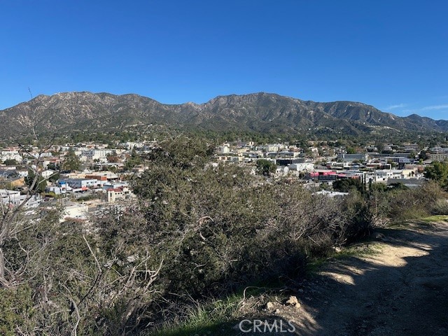 9856 Estaban Property Photo 14