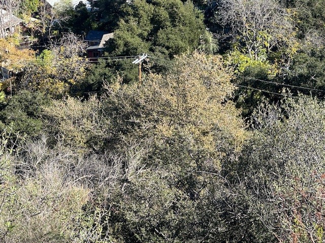 9856 Estaban Property Photo 16