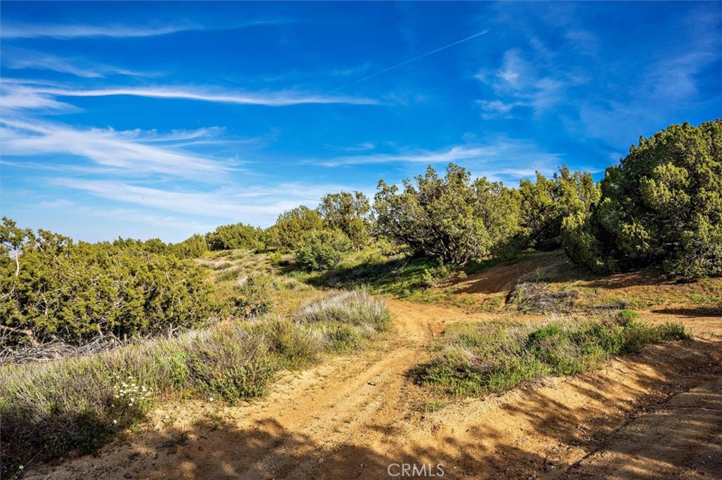 48725 Shallow Springs Road N Property Photo 3