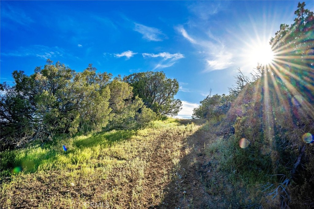 48725 Shallow Springs Road N Property Photo 30