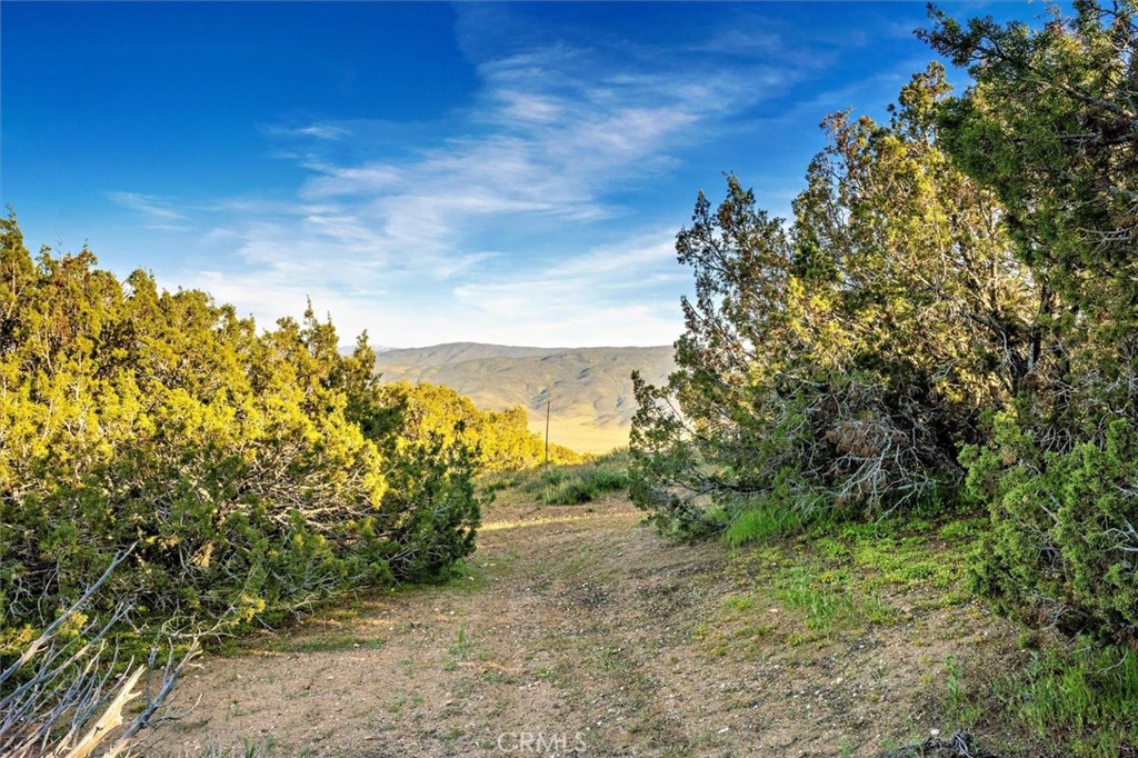 48725 Shallow Springs Road N Property Photo 33