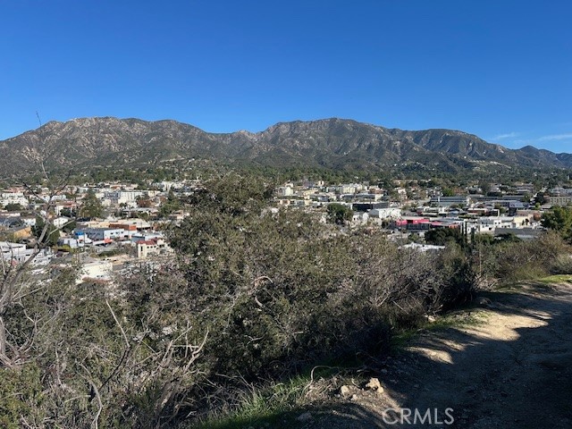 9842 High Top Dr. Property Photo 14