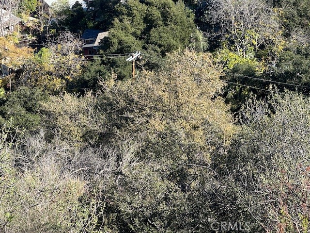 9842 High Top Dr. Property Photo 17