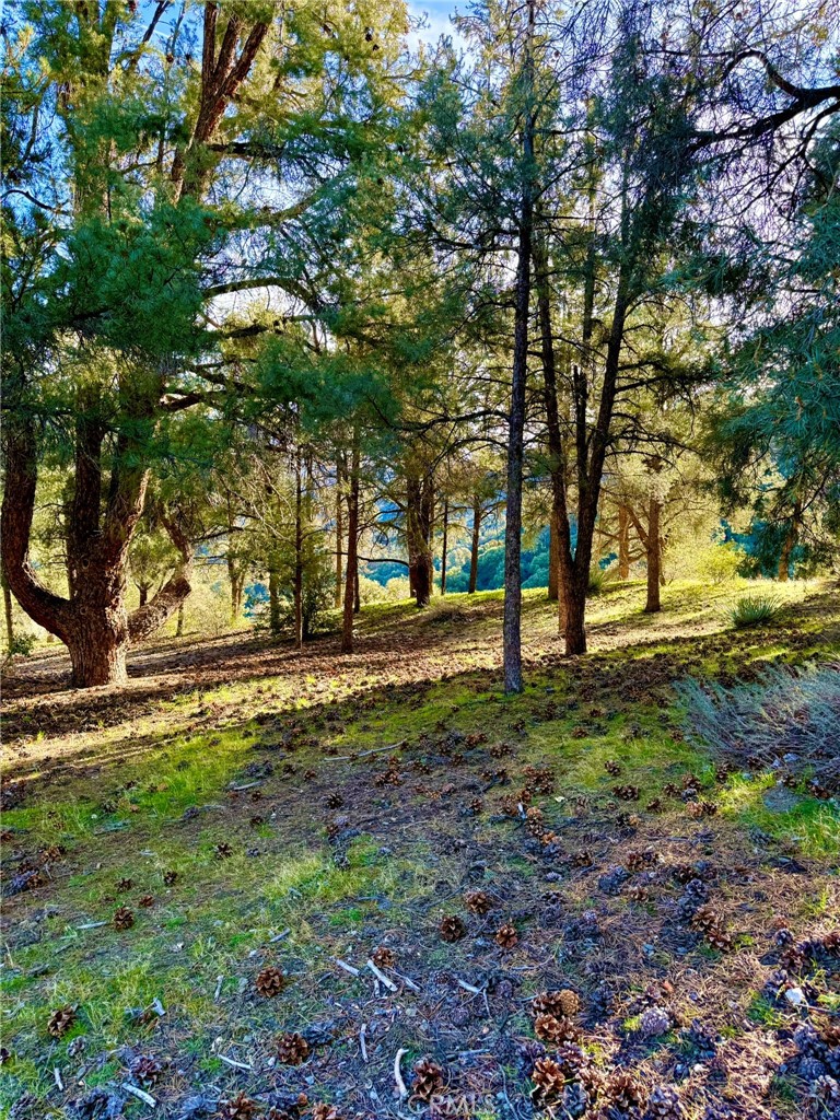 2604 Tirol Property Photo 1