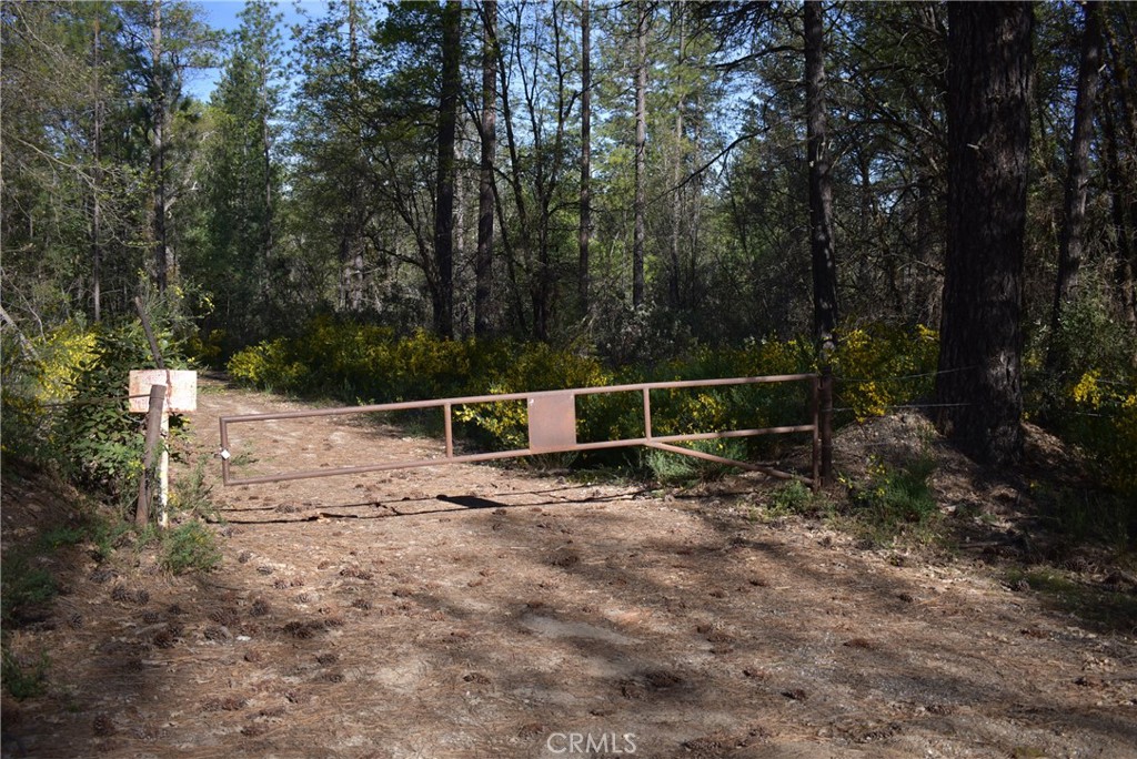 14550 Grizzly Hill Property Photo 1