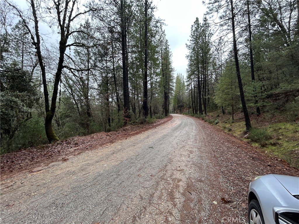 14550 Grizzly Hill Property Photo 5