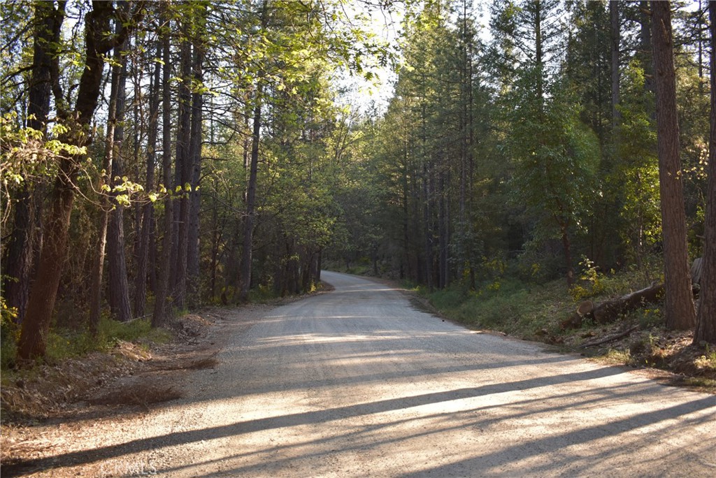 14550 Grizzly Hill Property Photo 10