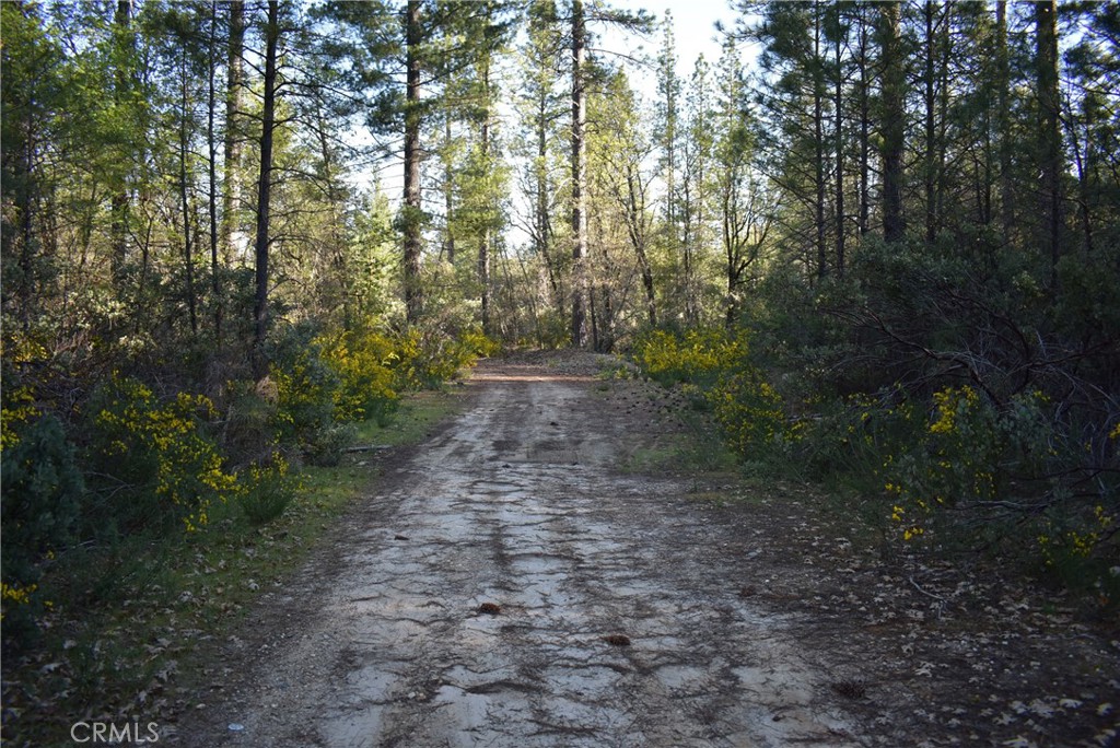 14550 Grizzly Hill Property Photo 11