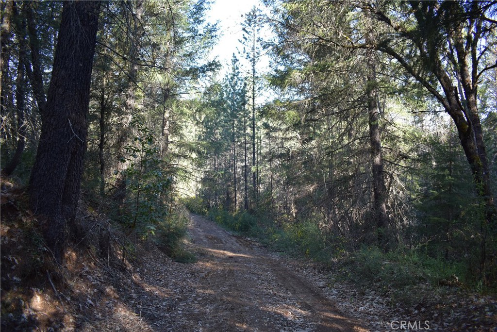 14550 Grizzly Hill Property Photo 12