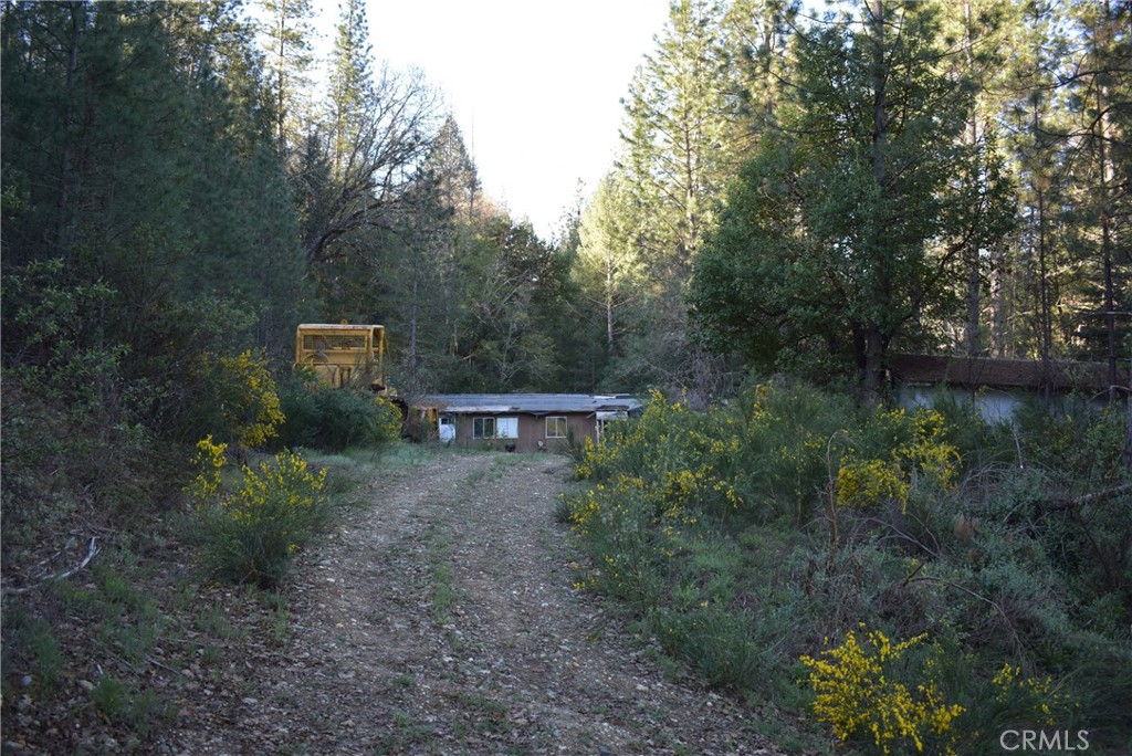 14550 Grizzly Hill Property Photo 13