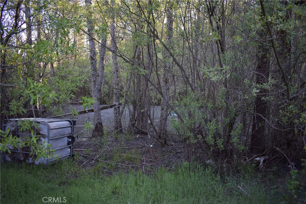 14550 Grizzly Hill Property Photo 21