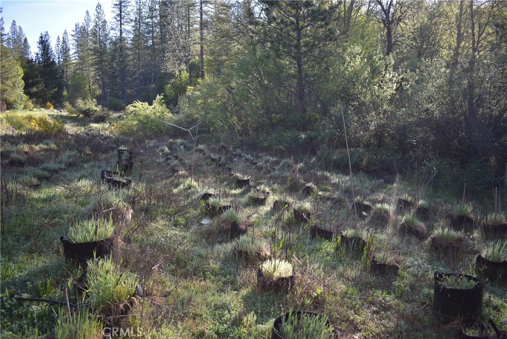 14550 Grizzly Hill Property Photo 24