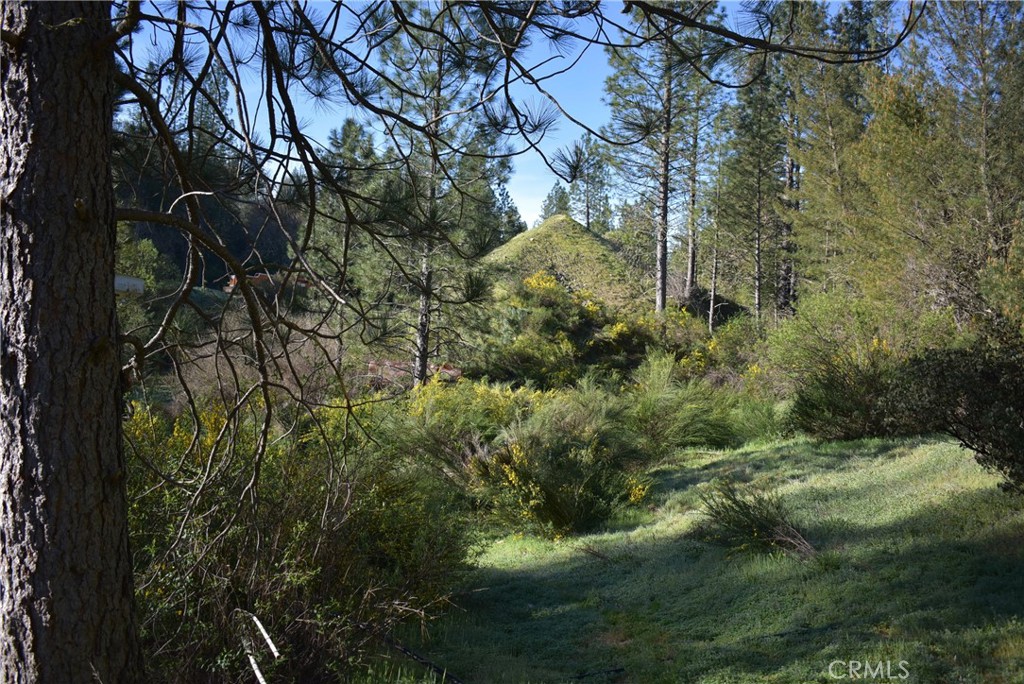 14550 Grizzly Hill Property Photo 25