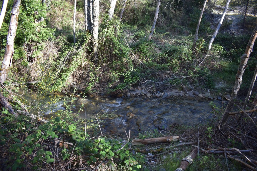 14550 Grizzly Hill Property Photo 26