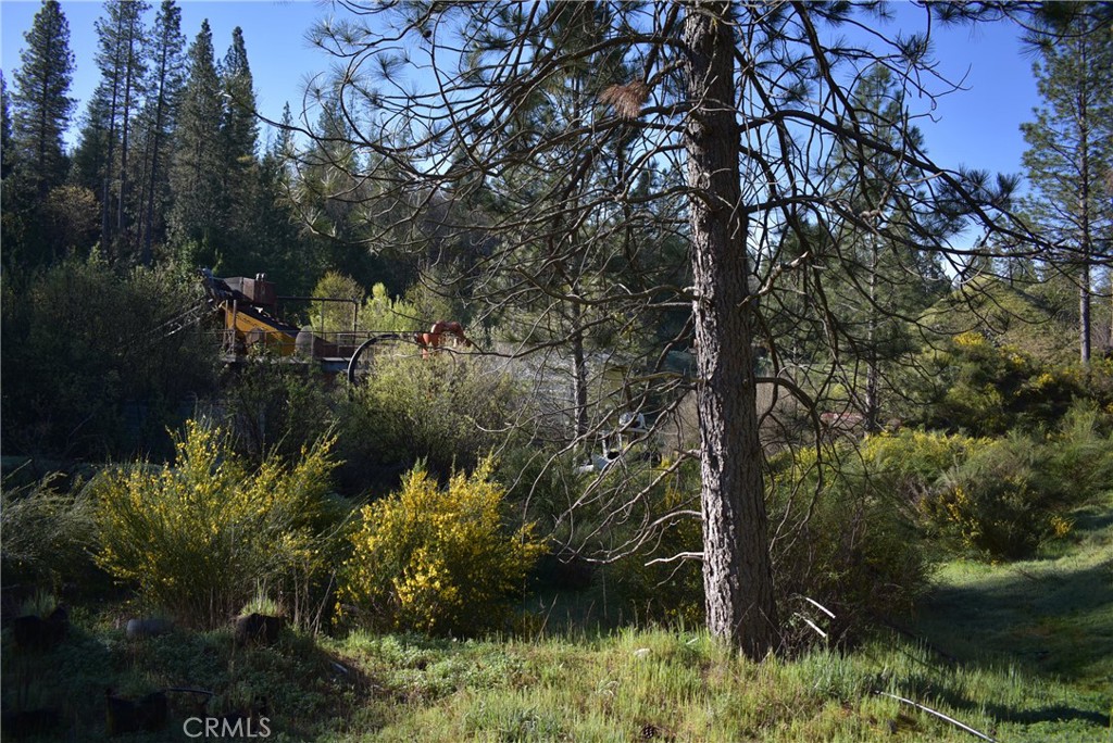 14550 Grizzly Hill Property Photo 27