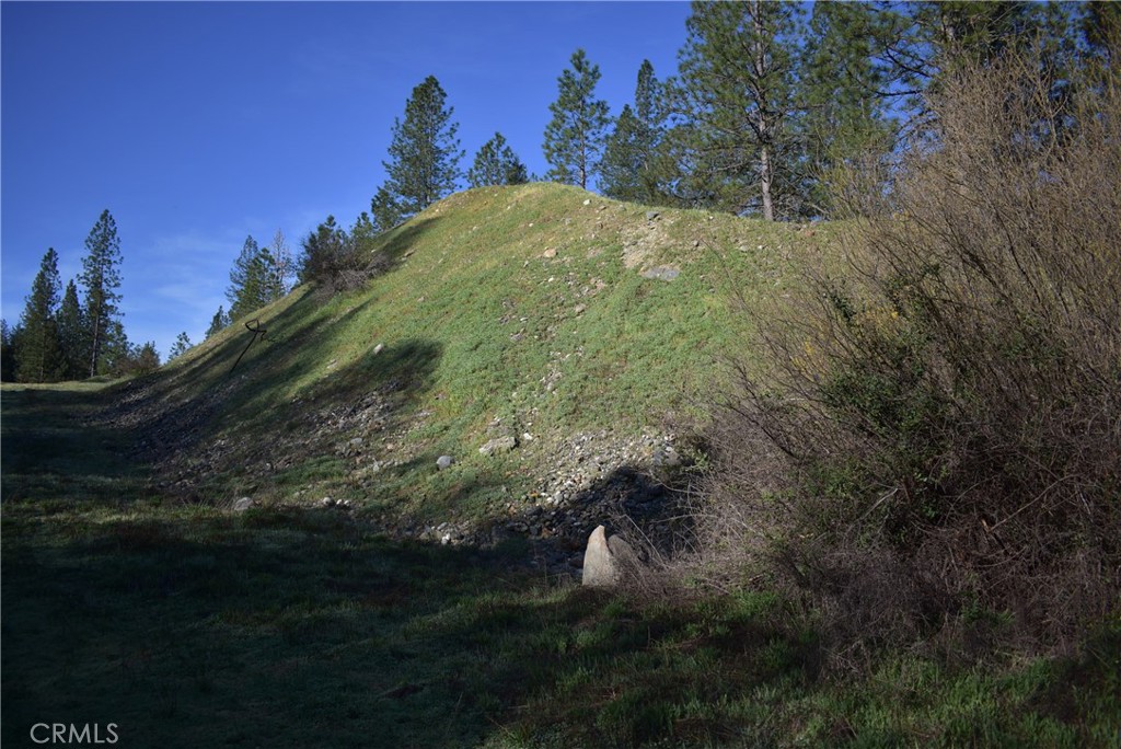 14550 Grizzly Hill Property Photo 28