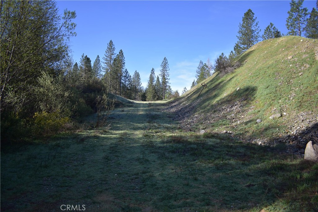 14550 Grizzly Hill Property Photo 29