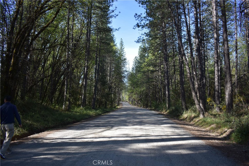 14550 Grizzly Hill Property Photo 45