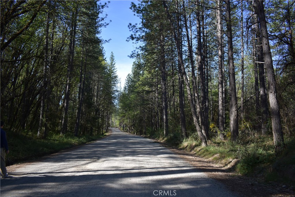 14550 Grizzly Hill Property Photo 46
