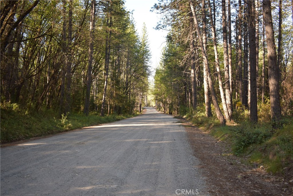 14435 Grizzly Hill Property Photo 2