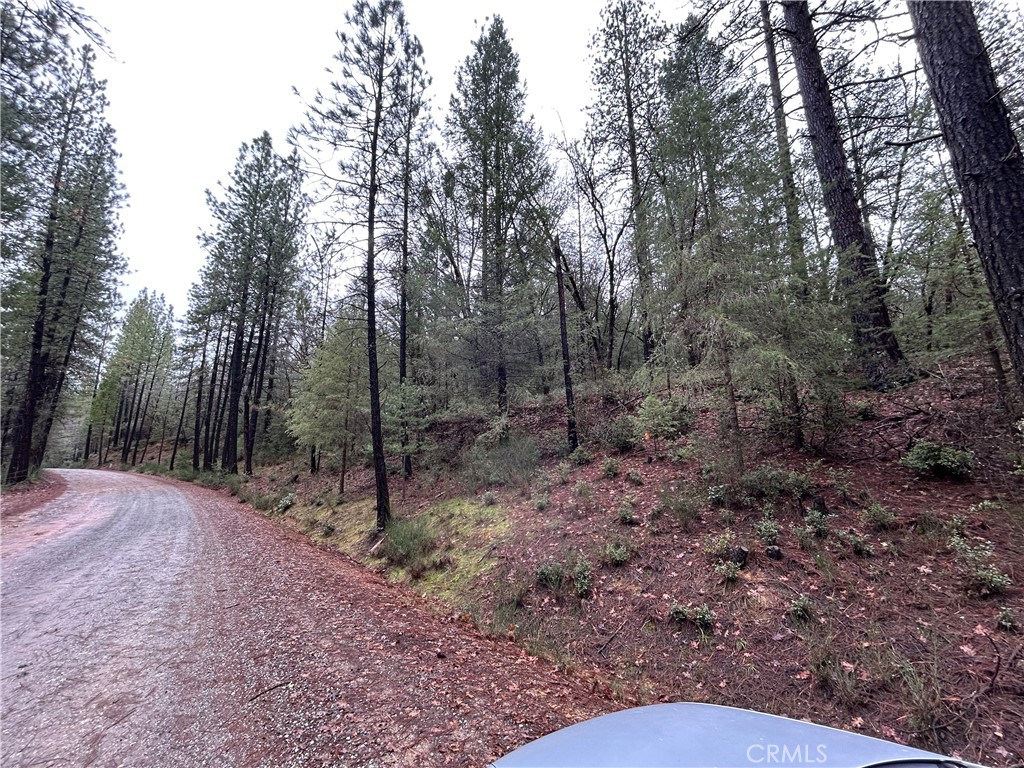 14435 Grizzly Hill Property Photo 3