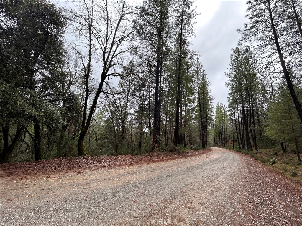 14435 Grizzly Hill Property Photo 5