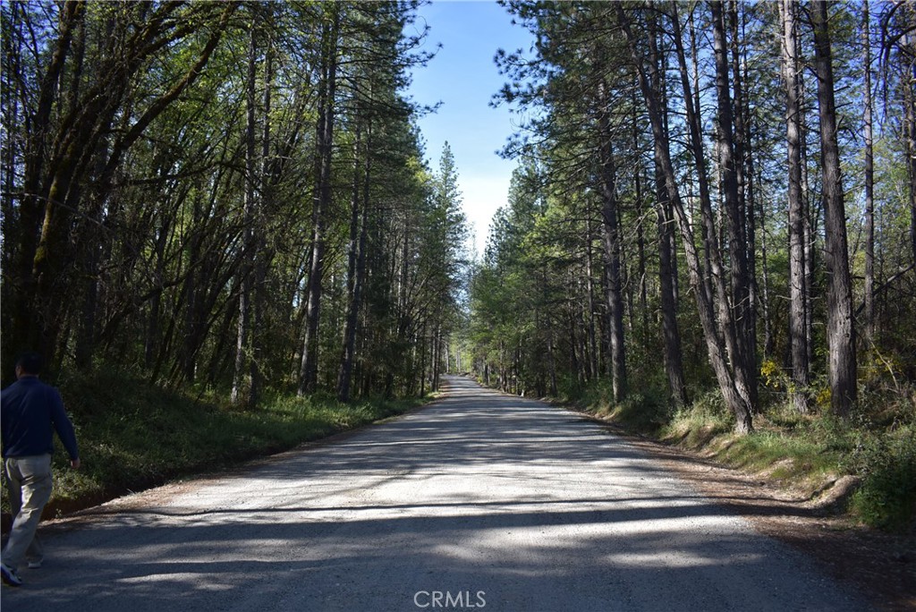 14435 Grizzly Hill Property Photo 14