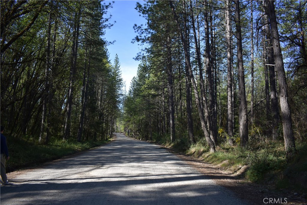 14435 Grizzly Hill Property Photo 15