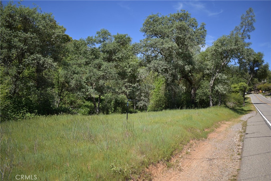 15788 Brewer Property Photo 1