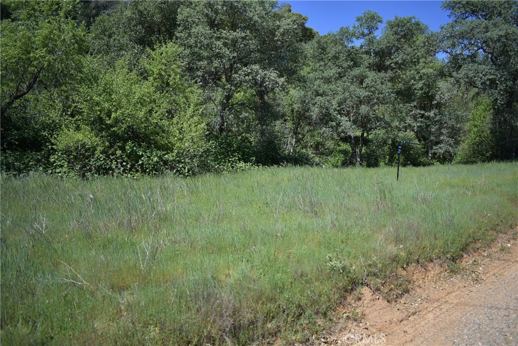 15788 Brewer Property Photo 2
