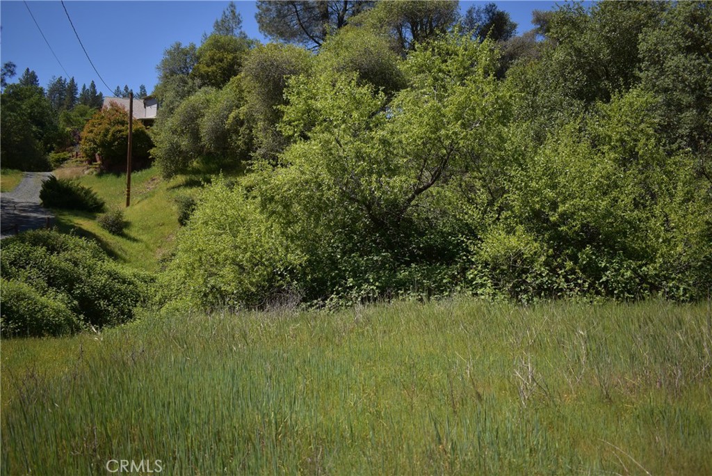 15788 Brewer Property Photo 3