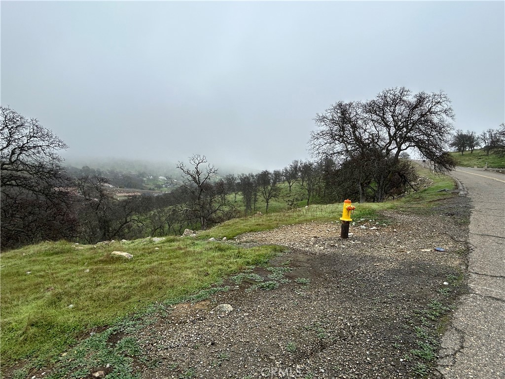 9784 Torito Property Photo 1