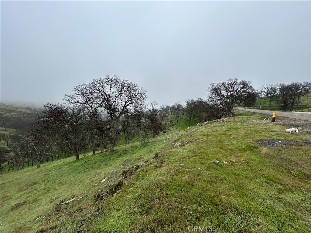 9784 Torito Property Photo 2