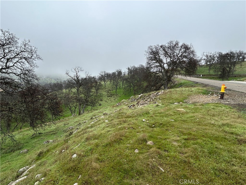 9784 Torito Property Photo 3
