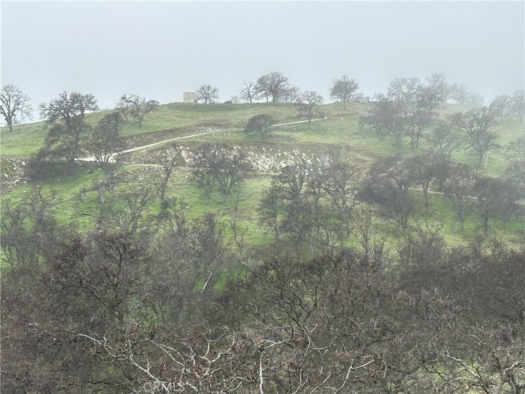 9784 Torito Property Photo 8