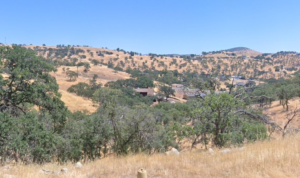 9784 Torito Property Photo 11