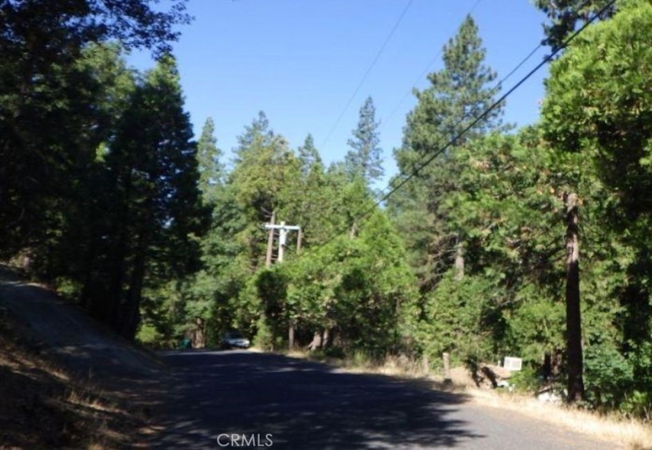 17166 Smokey River Property Photo 4