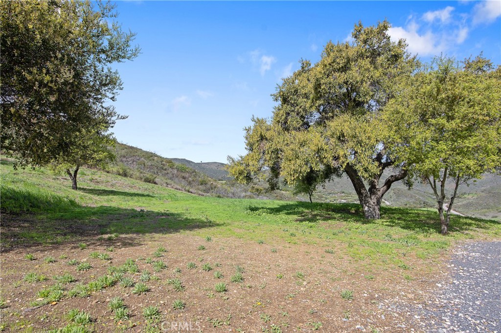 10120 Yerba Buena Road Property Photo 37
