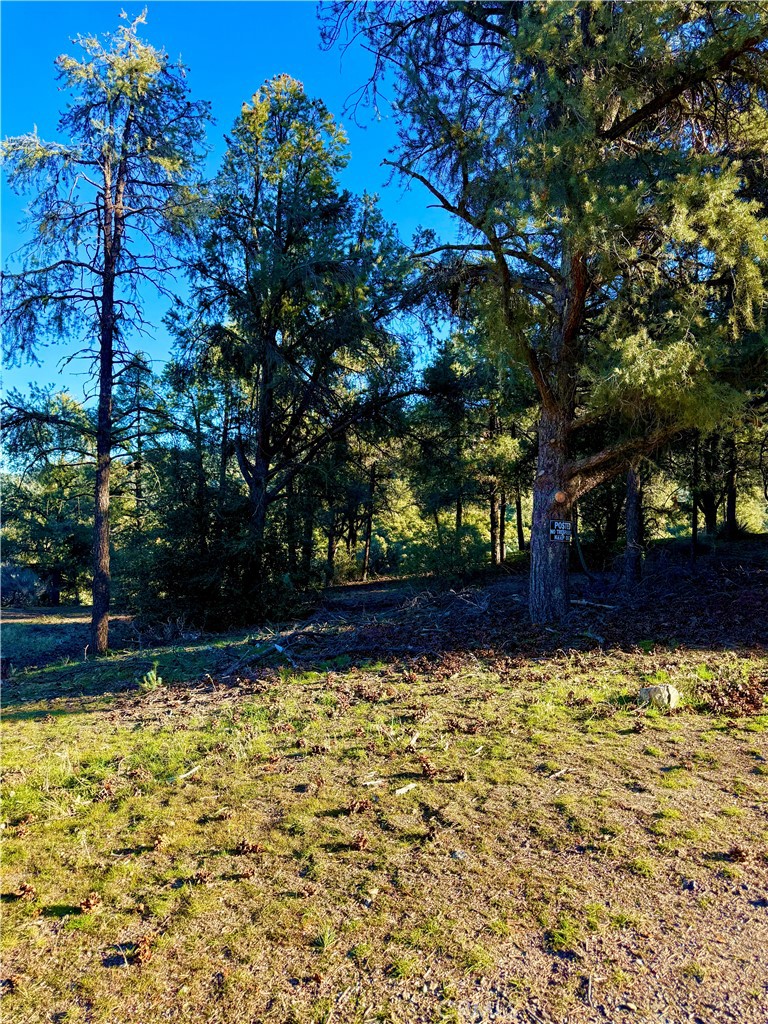2608 Tirol Property Photo 2