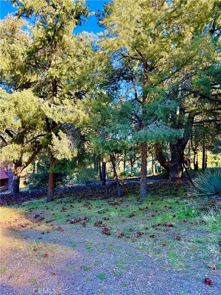 2608 Tirol Property Photo 3