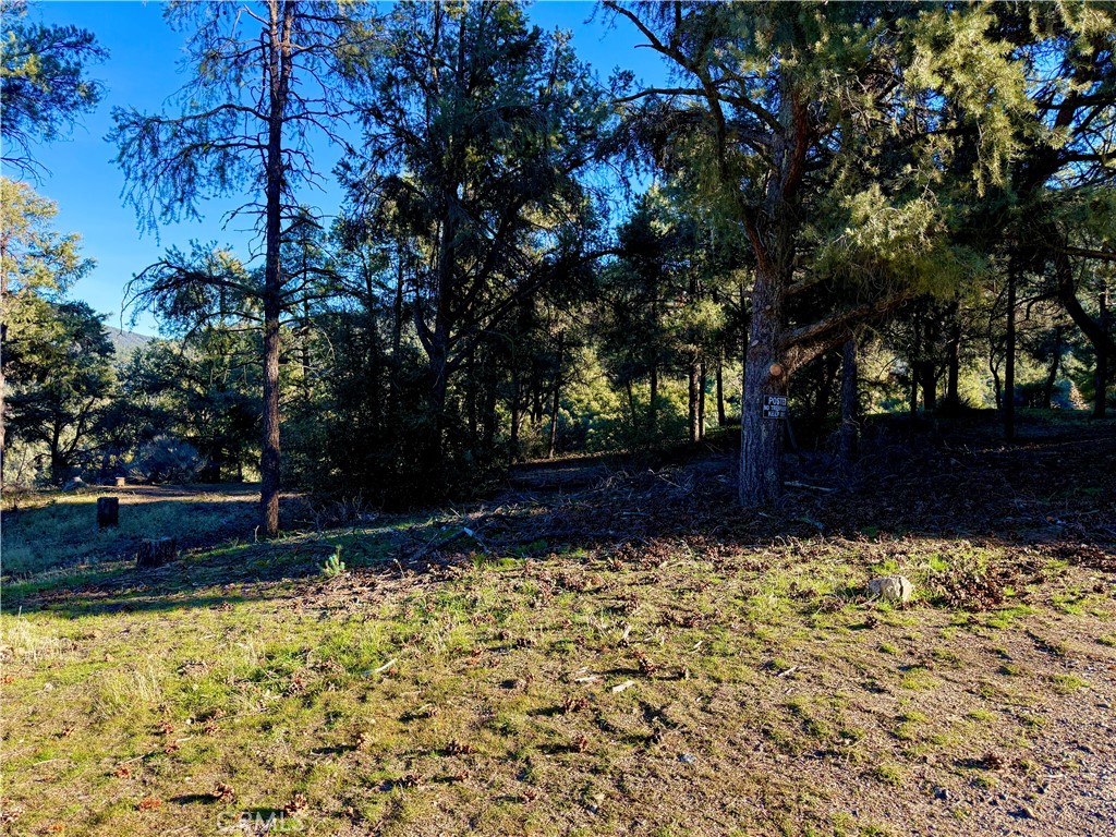 2608 Tirol Property Photo 4