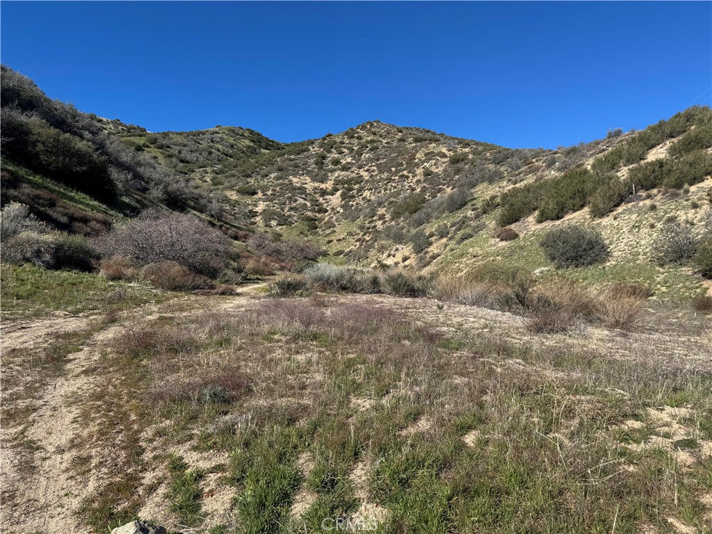 0 Munz Ranch Rd/150 W Property Photo 1