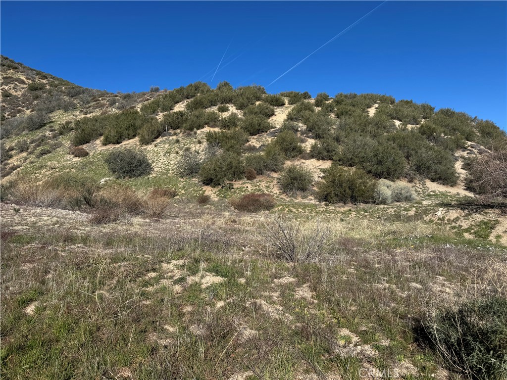 0 Munz Ranch Rd/150 W Property Photo 2