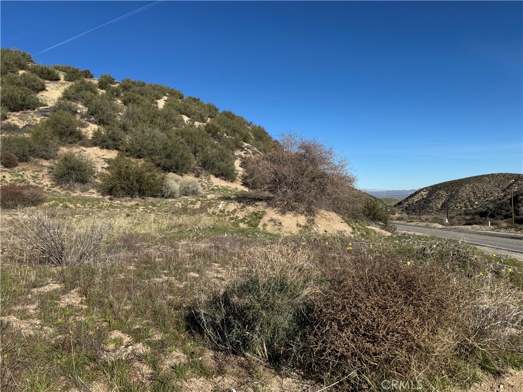 0 Munz Ranch Rd/150 W Property Photo 3