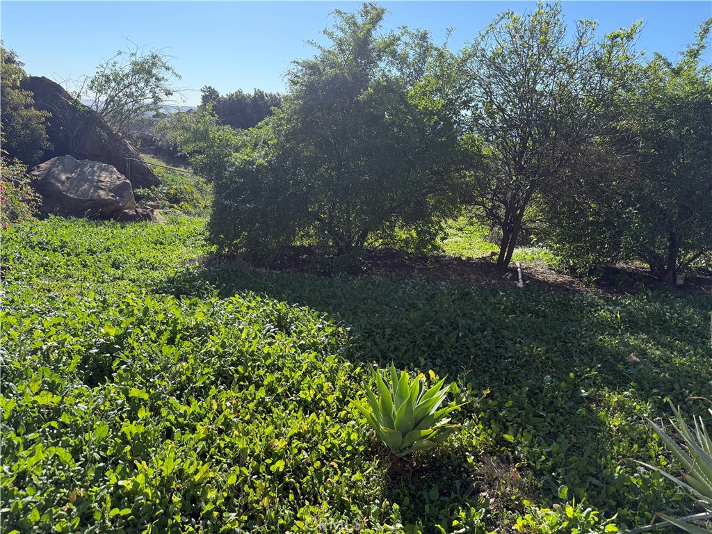 21776 Mojave Trail Property Photo 2