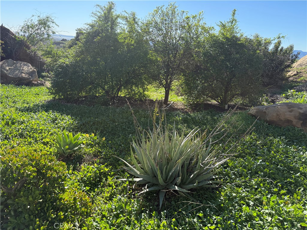 21776 Mojave Trail Property Photo 3