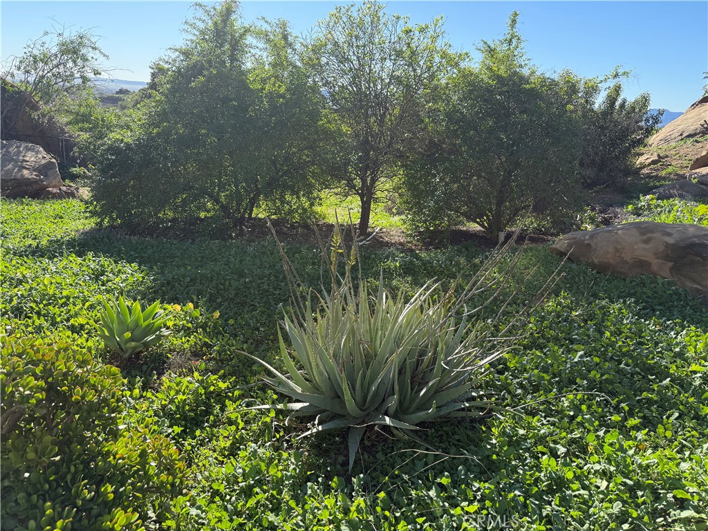 21776 Mojave Trail Property Photo 6