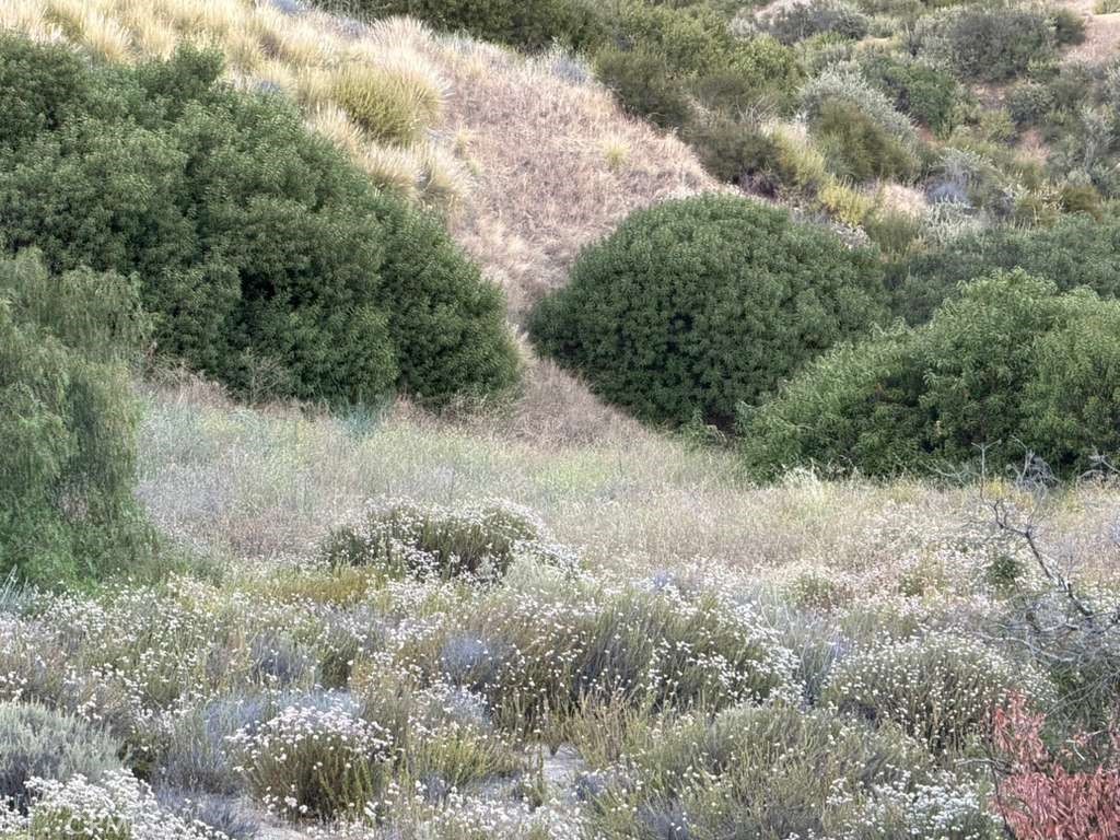 2 Coya Trail Property Photo 2