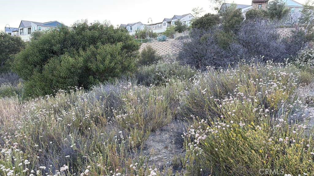2 Coya Trail Property Photo 9